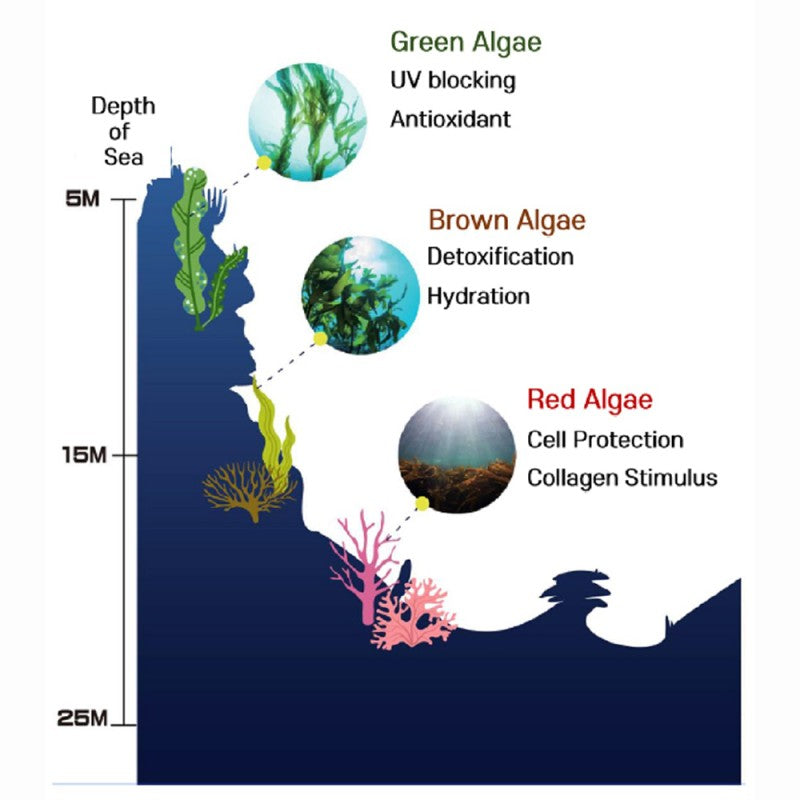 SHANGPREE HYDROGEL EYE MASK CORAL CALMING 60 stk