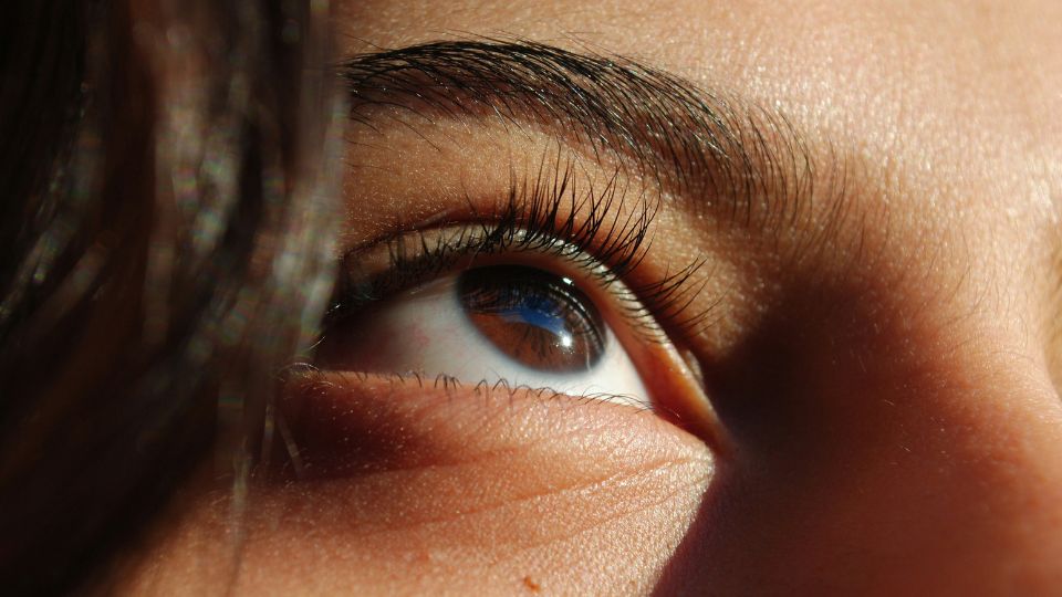 Serum & primer til øjenvipper